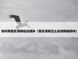 如何用西瓜视频拍自媒体（西瓜视频怎么拍视频赚钱吗）