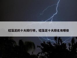 硅藻泥的十大排行榜，硅藻泥十大排名有哪些