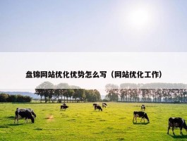 盘锦网站优化优势怎么写（网站优化工作）