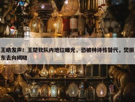 王皓发声！王楚钦队内地位曝光，恐被林诗栋替代，樊振东去向揭晓