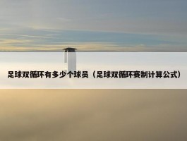 足球双循环有多少个球员（足球双循环赛制计算公式）