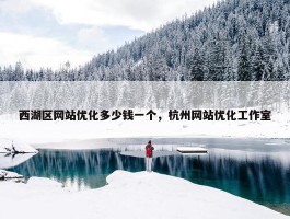 西湖区网站优化多少钱一个，杭州网站优化工作室