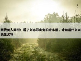 两代美人同框！看了刘亦菲身旁的章小蕙，才知道什么叫天生尤物