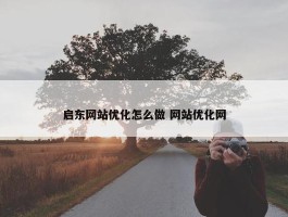 启东网站优化怎么做 网站优化网