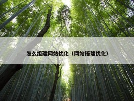 怎么组建网站优化（网站搭建优化）