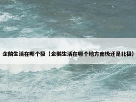 企鹅生活在哪个极（企鹅生活在哪个地方南极还是北极）