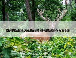 绍兴网站优化怎么做的啊 绍兴网站制作方案定制