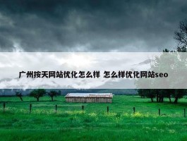 广州按天网站优化怎么样 怎么样优化网站seo