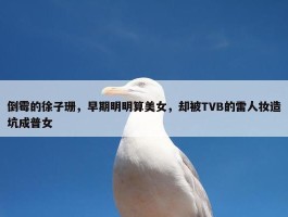 倒霉的徐子珊，早期明明算美女，却被TVB的雷人妆造坑成普女