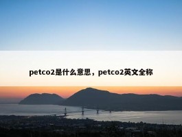 petco2是什么意思，petco2英文全称