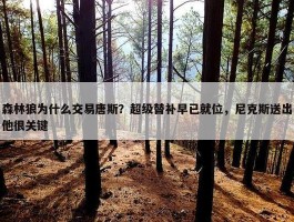 森林狼为什么交易唐斯？超级替补早已就位，尼克斯送出他很关键