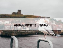 中国队员状态排行榜（国内队员）