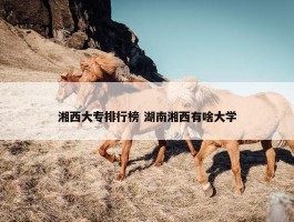 湘西大专排行榜 湖南湘西有啥大学