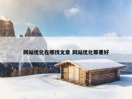 网站优化在哪找文章 网站优化那里好