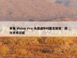 苹果 Vision Pro 头显成外科医生新宠：简化手术过程