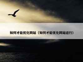 如何才能优化网站（如何才能优化网站运行）