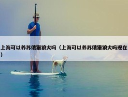 上海可以养苏俄猎狼犬吗（上海可以养苏俄猎狼犬吗现在）