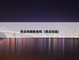 斑点狗很稀有吗（斑点狗是）