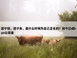 混子瑶，混子鱼，是什么时候为自己正名的？如今已成ban位常客