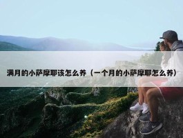 满月的小萨摩耶该怎么养（一个月的小萨摩耶怎么养）