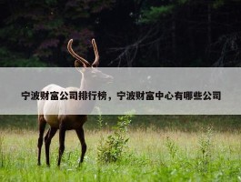 宁波财富公司排行榜，宁波财富中心有哪些公司