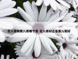 花八哥和黑八哥哪个贵 花八哥好还是黑八哥好