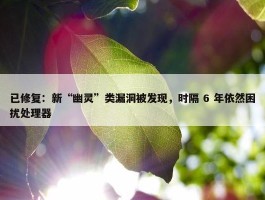 已修复：新“幽灵”类漏洞被发现，时隔 6 年依然困扰处理器