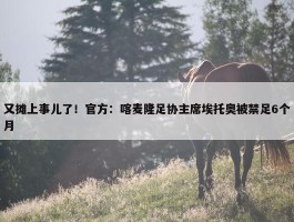 又摊上事儿了！官方：喀麦隆足协主席埃托奥被禁足6个月