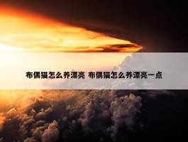 布偶猫怎么养漂亮 布偶猫怎么养漂亮一点