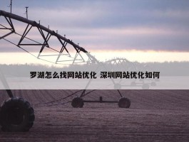 罗湖怎么找网站优化 深圳网站优化如何