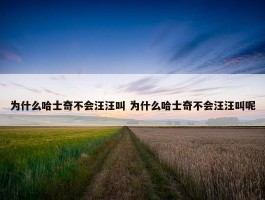 为什么哈士奇不会汪汪叫 为什么哈士奇不会汪汪叫呢