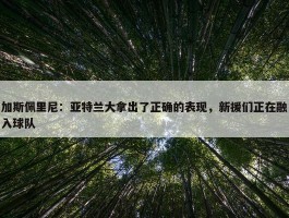 加斯佩里尼：亚特兰大拿出了正确的表现，新援们正在融入球队