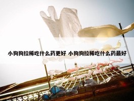 小狗狗拉稀吃什么药更好 小狗狗拉稀吃什么药最好