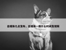 自媒体几点发布，自媒体一般什么时间发视频