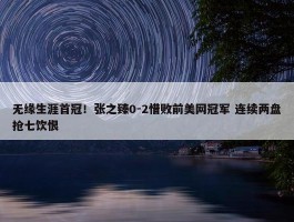 无缘生涯首冠！张之臻0-2惜败前美网冠军 连续两盘抢七饮恨