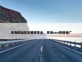 青海网站优化哪家专业，青海seo网络推广