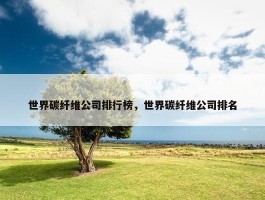 世界碳纤维公司排行榜，世界碳纤维公司排名