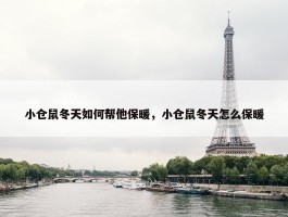 小仓鼠冬天如何帮他保暖，小仓鼠冬天怎么保暖