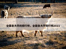 全国各大学的排行榜，全国各大学排行榜2021