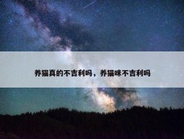 养猫真的不吉利吗，养猫咪不吉利吗