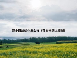 萍乡网站优化怎么样（萍乡市网上商城）