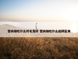 雪纳瑞吃什么对毛发好 雪纳瑞吃什么能胖起来