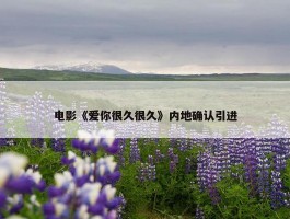 电影《爱你很久很久》内地确认引进