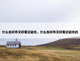 什么鱼好养又好看还能吃，什么鱼好养又好看还能吃的