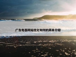 广东电器网站优化如何的简单介绍