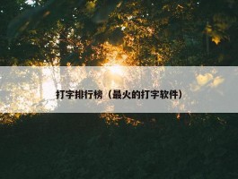 打字排行榜（最火的打字软件）