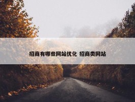 招商有哪些网站优化 招商类网站