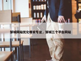 邹城网站优化哪家专业，邹城三个平台网站