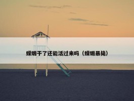 蝾螈干了还能活过来吗（蝾螈暴毙）