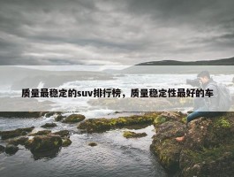 质量最稳定的suv排行榜，质量稳定性最好的车